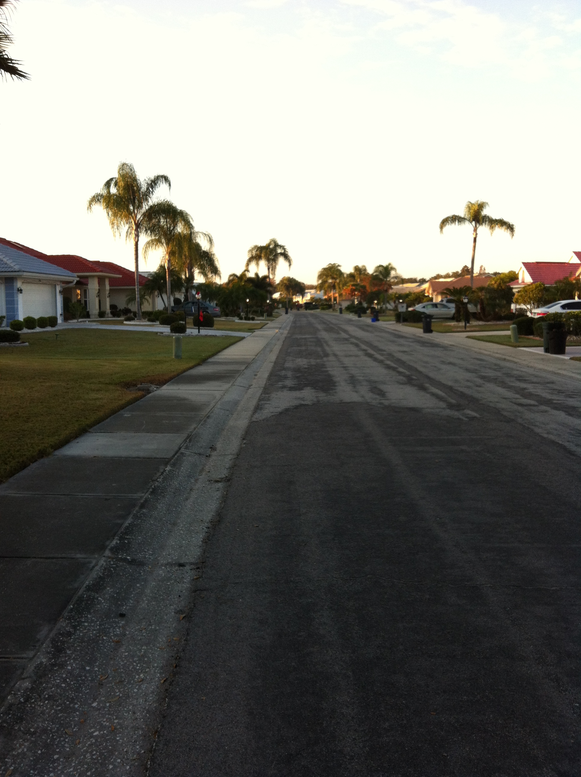 A quiet morning walk in my mom's neighborhood.