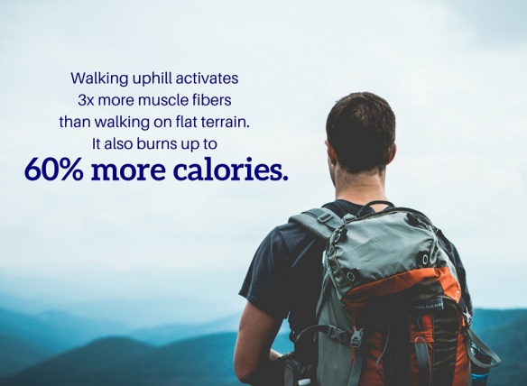Walking uphill activates 3x more muscle fibers than walking on flat terrain. It also burns up to