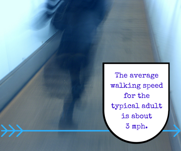 the-average-walking-speed-for-the-typical-adult-is-about-3-mph